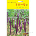 High Yield Hybrid Long Eggplant Seeds chinese vegetable seeds for planting-Long Dragon